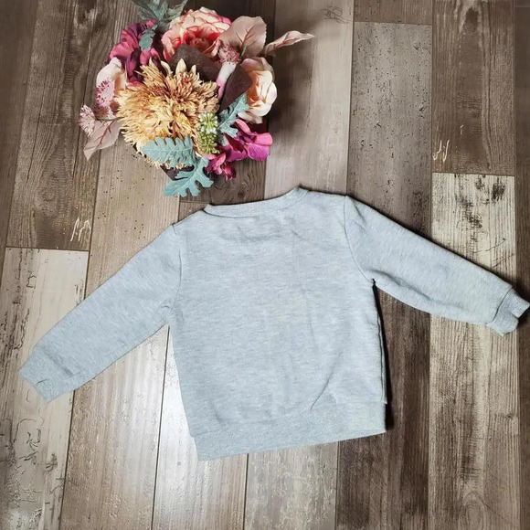 Marvel Spider-Man Fleece Size 2T Pullover Crewneck Sweatshirt Gray Red EUC - Picture 12 of 14